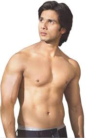 shahid kapoor hot wallpapers free download 2013